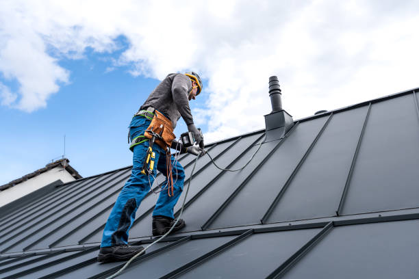 Best Roof Maintenance and Cleaning  in Towaoc, CO